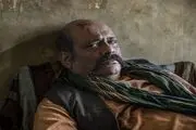 «پاکول» راهی جشنواره فیلم فجر شد