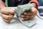 قیمت دلار امروز سه شنبه 6 خرداد 1404 همه را شوکه کرد
