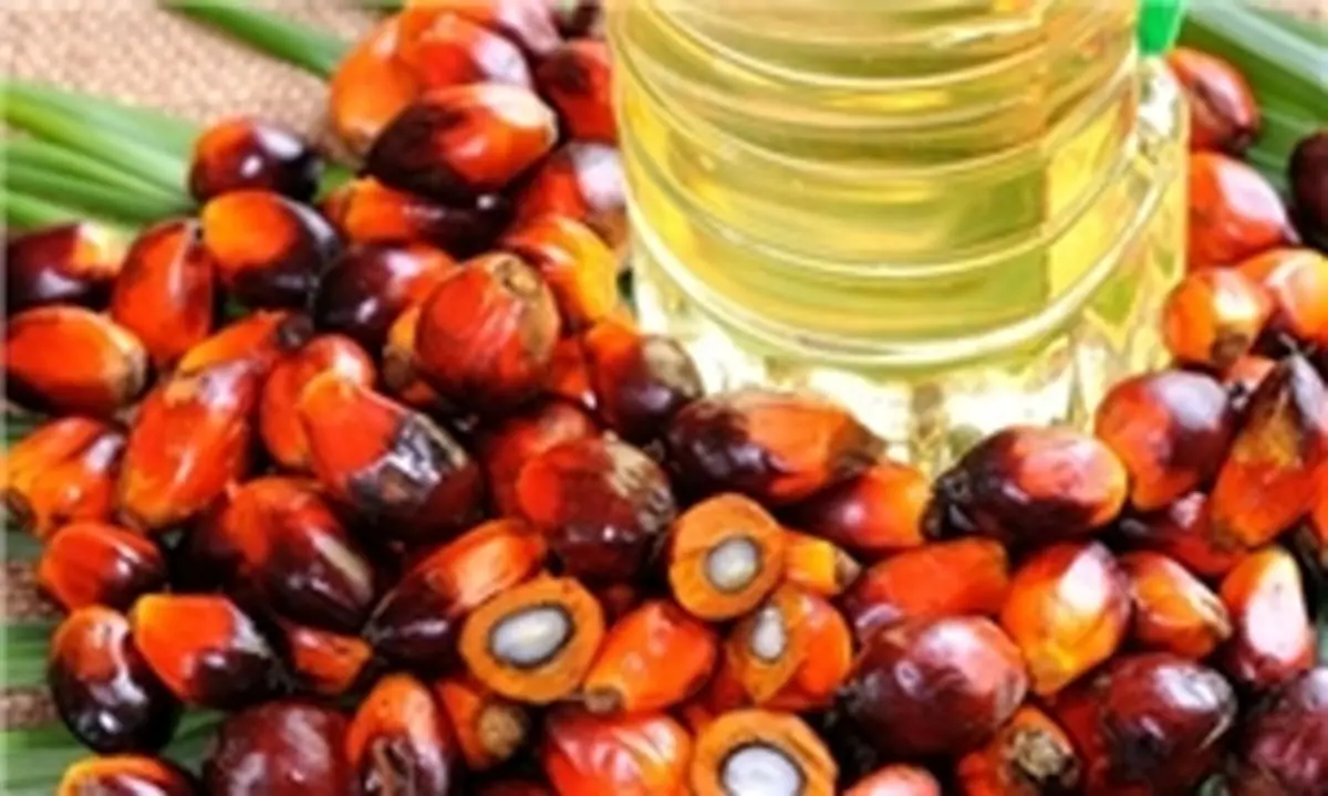 درخواست انجمن روغن نباتی برای افزایش واردات روغن پالم