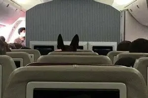 نشاندن سگ آمریکایی روی صندلی در پرواز کابل+عکس