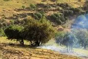 تشکیل تیم‌‌های واکنش سریع برای اطفای حریق در مراتع و جنگل‌های استان تهران