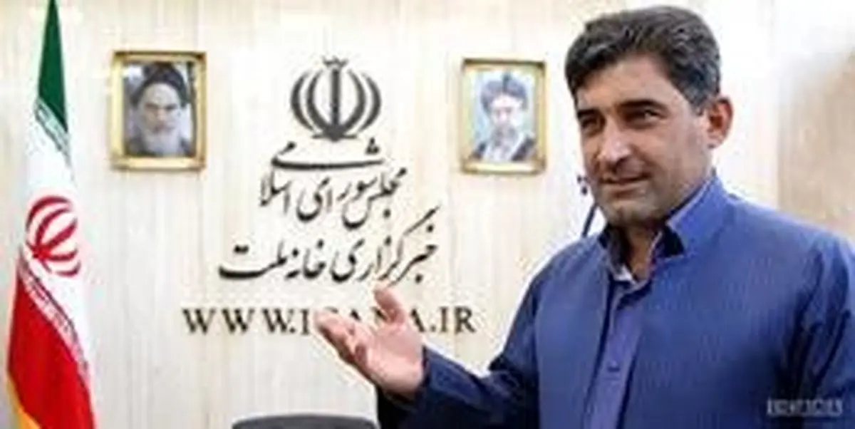 ماموریت ویژه دژپسند از نظر عضو کمیسیون اقتصادی مجلس