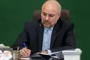 رئیس مجلس 3 ایراد به مصوبه واردات خودرو گرفت