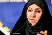 طرح جدید ایران درباره سوریه و مذاکرات هسته‌ای از محورهای رایزنی ظریف