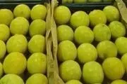 صادرات لیمو شیرین جهرم به اروپا