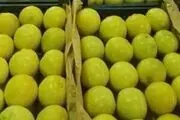 صادرات لیمو شیرین جهرم به اروپا