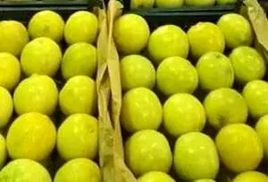 صادرات لیمو شیرین جهرم به اروپا