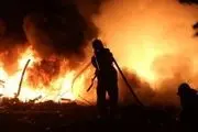 آتش نمایشگاه بهاره تهرانسر را سوزاند
