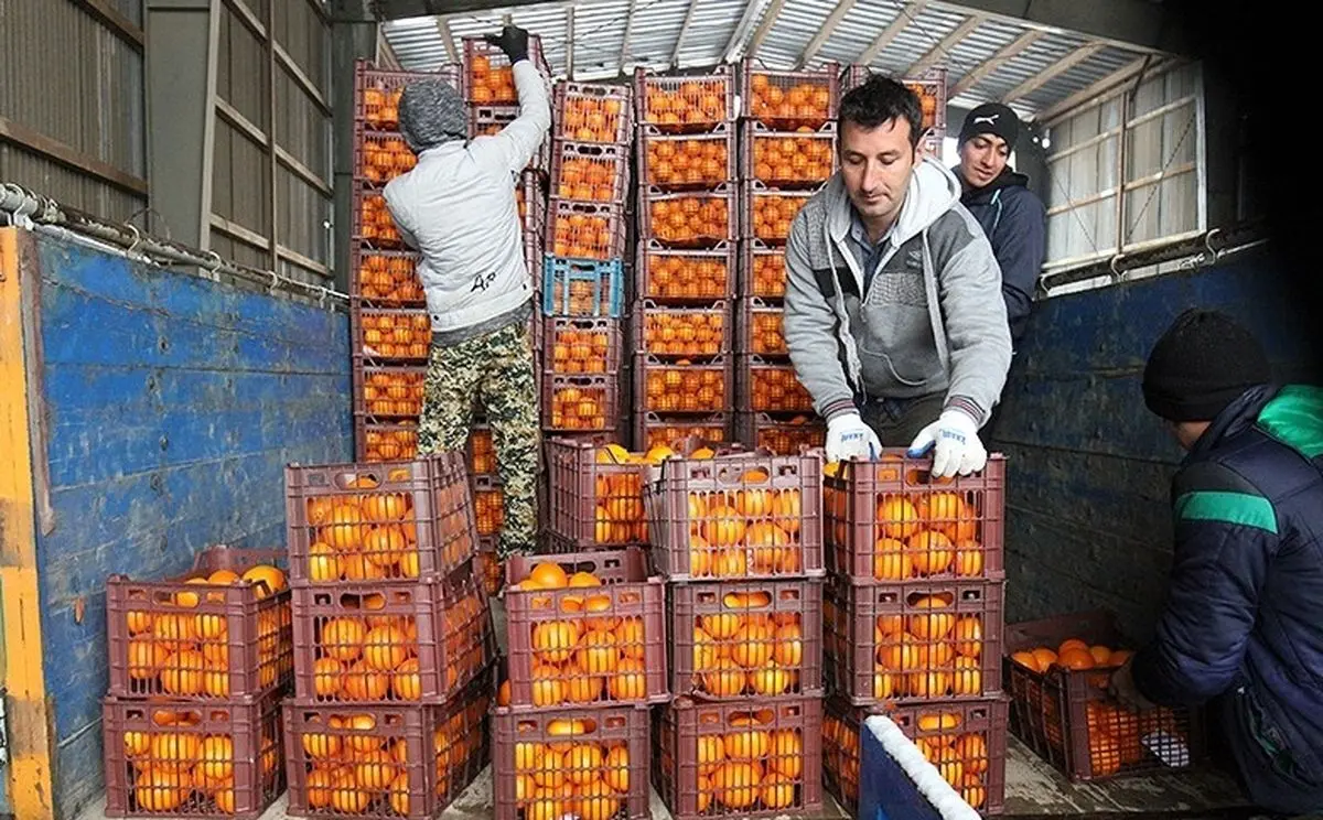 میوه شب عید با ۱۵درصد تخفیف بهفروش میرسد