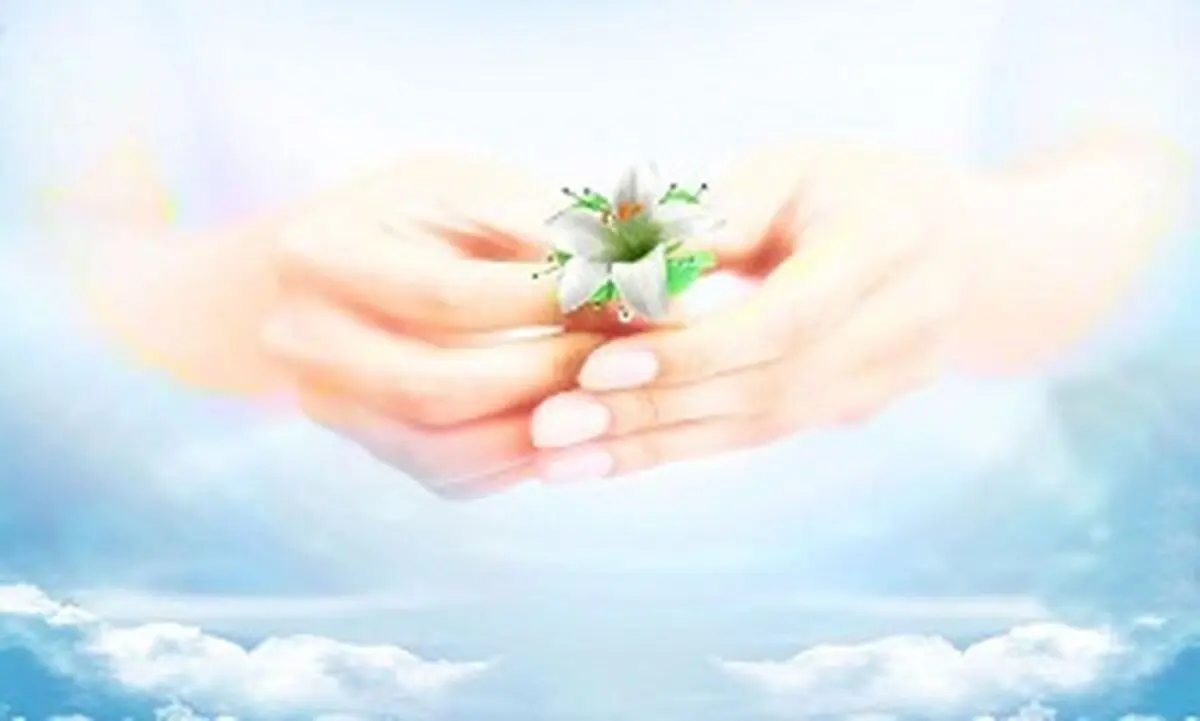 در اسلام چه چیزهایی نجس شمرده شده است؟