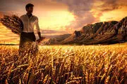 اگر دنبال روزی حلال هستید؛ بخوانید