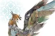 سیمرغ بازیگری بر شانه‌های آقاخانی و کوثری