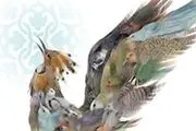 سیمرغ بازیگری بر شانه‌های آقاخانی و کوثری