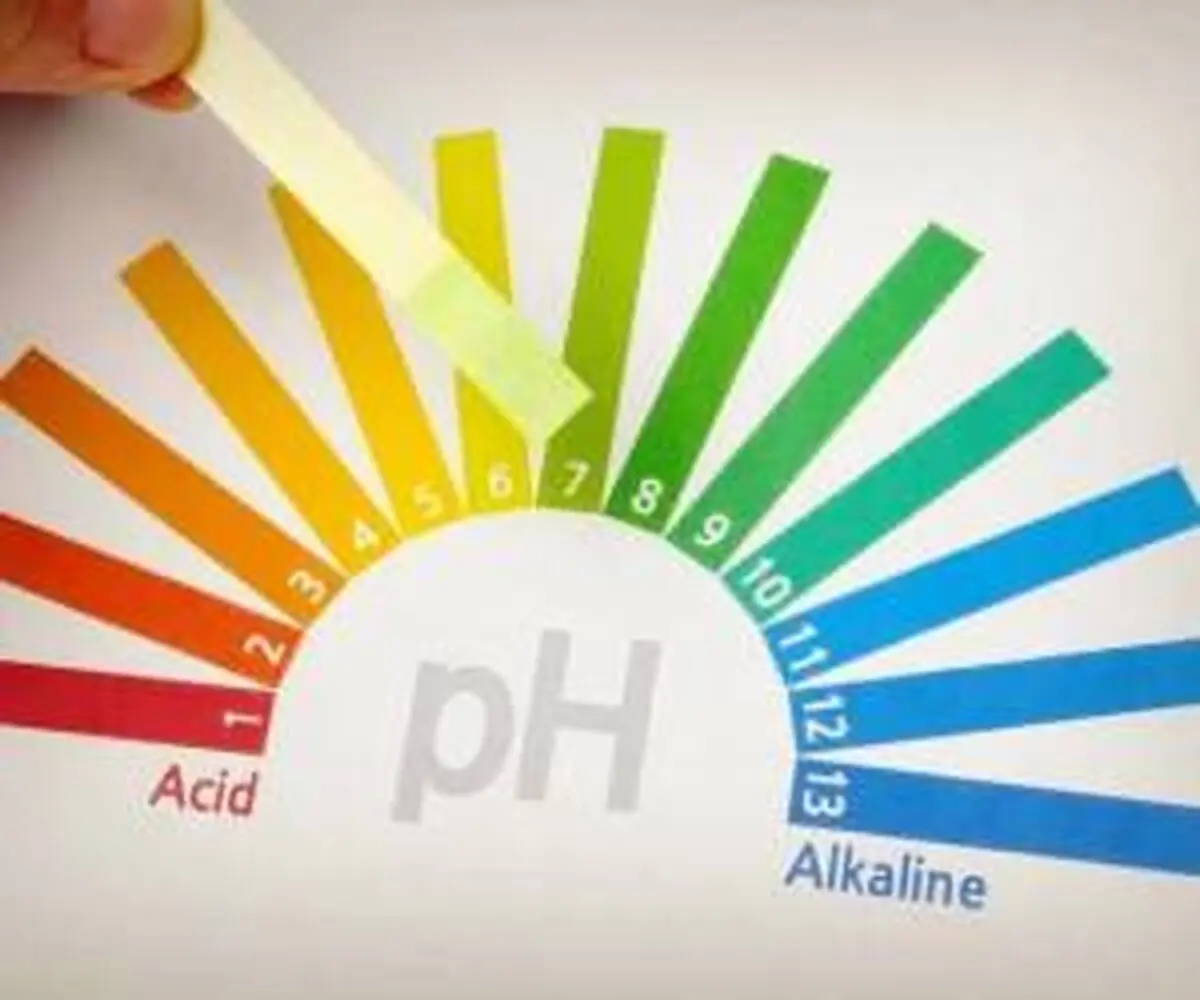 
ph خون چیست و چطور کاهش می‌یاید + نسخه گیاهی