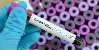 موردی از ابتلا به کروناویروس در کشور گزارش نشده است