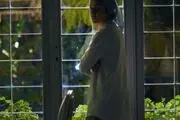 «درد خفیف» به ۳جشنواره بین‌المللی راه یافت