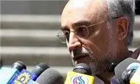 امیدواری صالحی به رفع تحریم ها در سال جدید