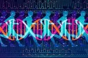 کدام ژن‌ها انسان را ساخته‌اند؟