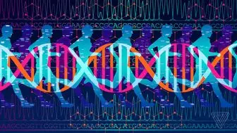 کدام ژن‌ها انسان را ساخته‌اند؟