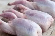 در مورد گوشت بلدرچین بیشتر بدانید