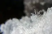 زیبایی مسحورکننده برف در جاده جنگلی دالخانی /عکس