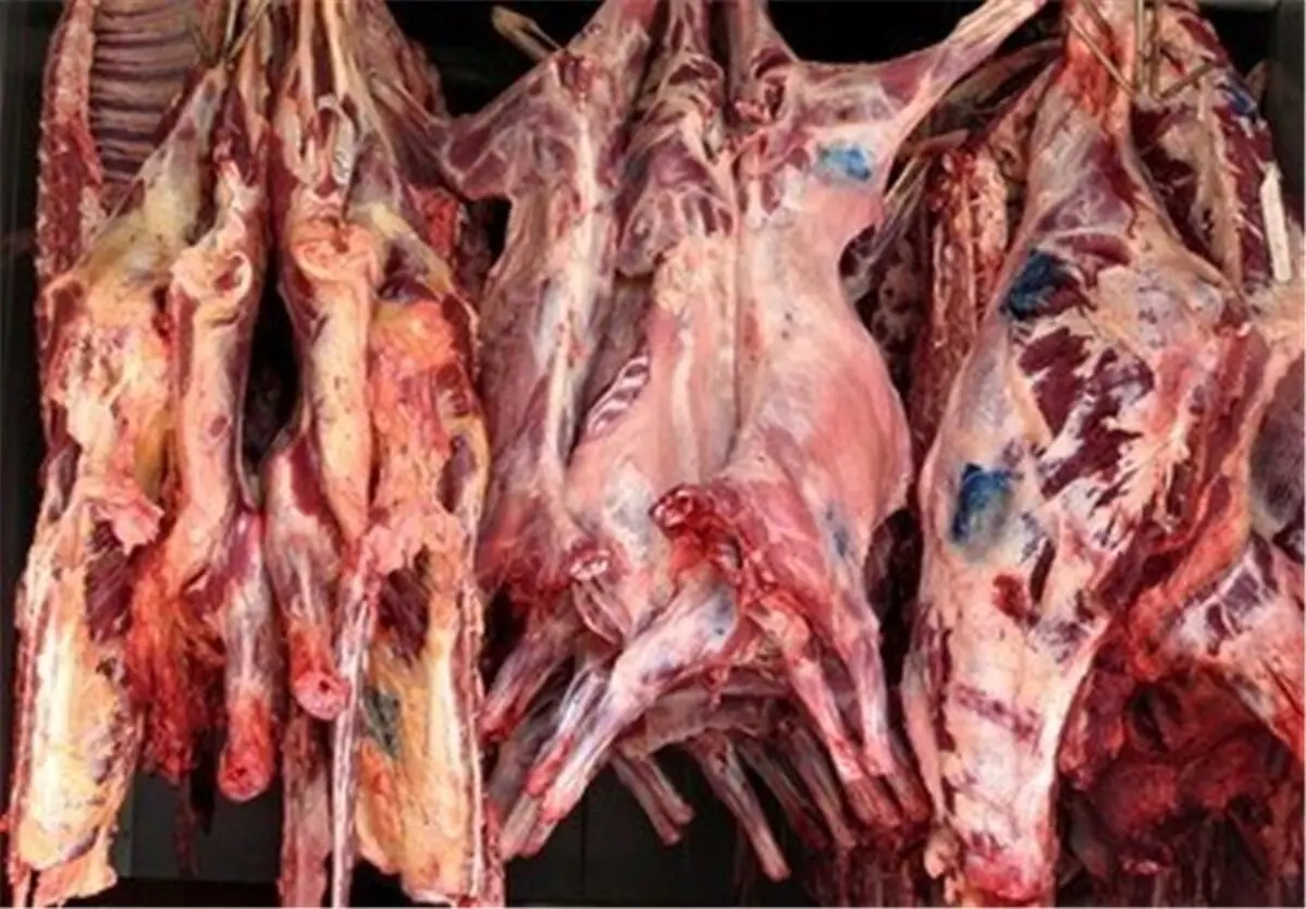 ثبات قیمت گوشت قرمز تا پایان آبان 