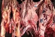صادرات دام زنده بهانه گرانی گوشت 