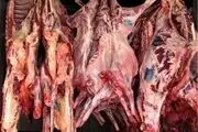 کاهش قیمت گوشت گوسفندی در بازار