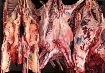 توزیع  گوشت گرم دولتی در تهران