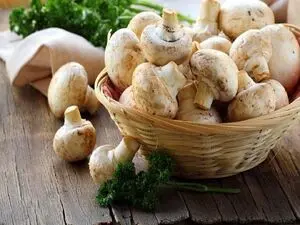 ایران در بین برترین تولیدکنندگان قارچ جهان / چگونه قارچ با کیفیت را تشخیص دهیم؟