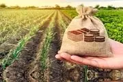 بیمه محصولات کشاورزی چتری برای کاهش ریسک‌ تولید
