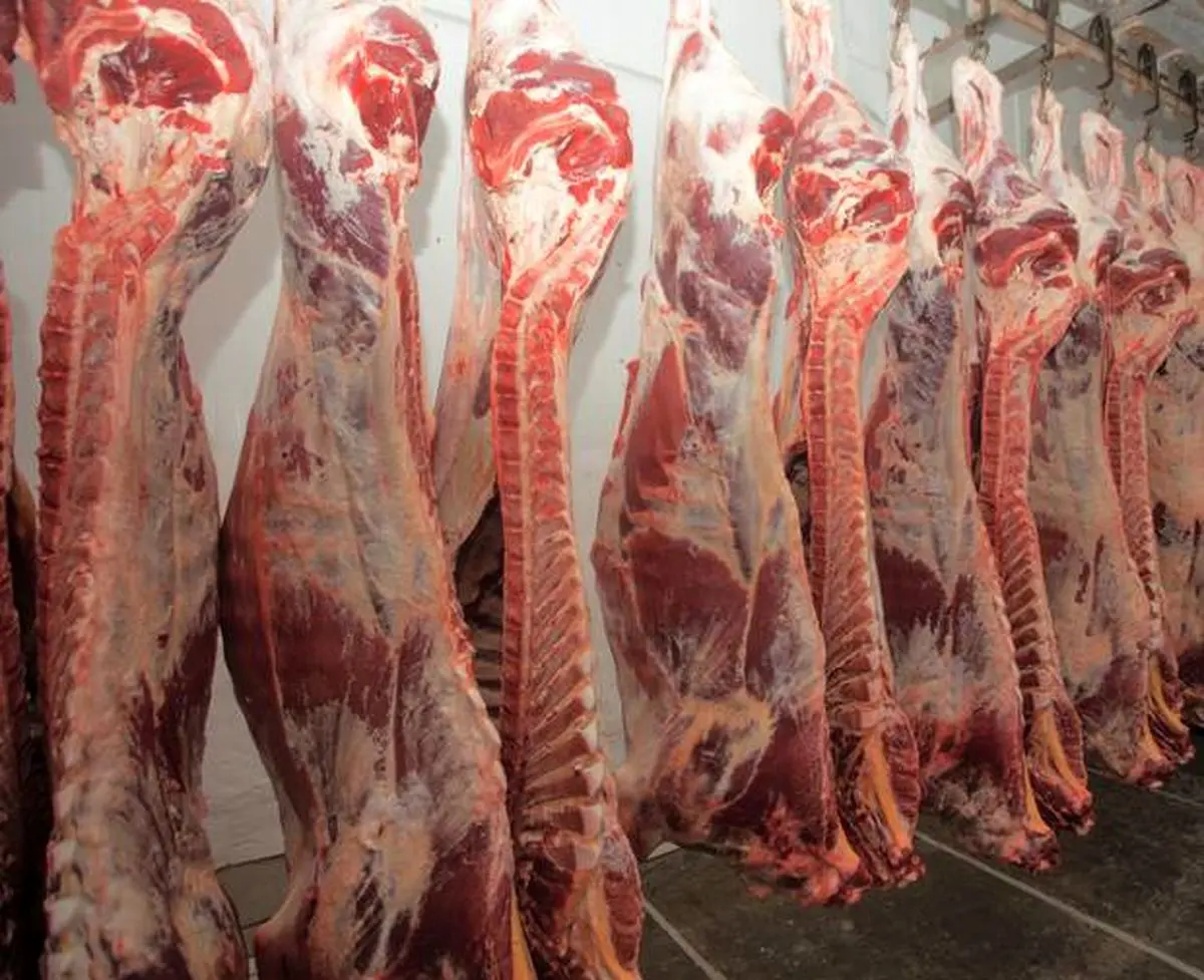 قیمت گوشت قرمز در اردیبهشت کاهش مییابد