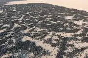 بزرگترین قبرستان لاستیک جهان /گزارش تصویری