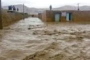 خسارات سیل کرمان به خودروها/ عکس