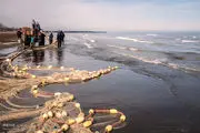 تورهای ماهیگیران در دریای مازندران پهن شد
