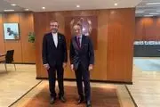 دیدار علی باقری و مدیرکل آژانس بین‌المللی انرژی اتمی 