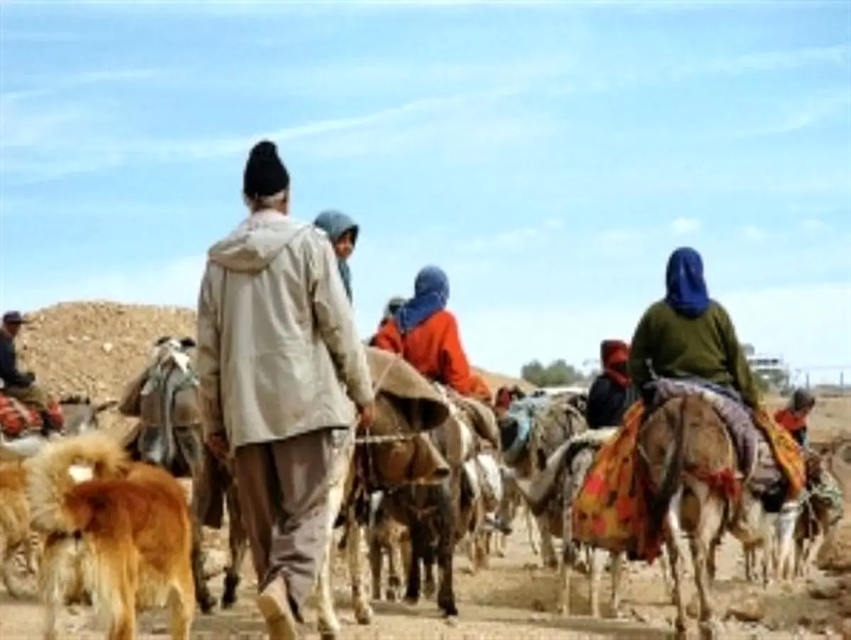 آغاز کوچ بهاره عشایر استان از اواخر فروردین ماه