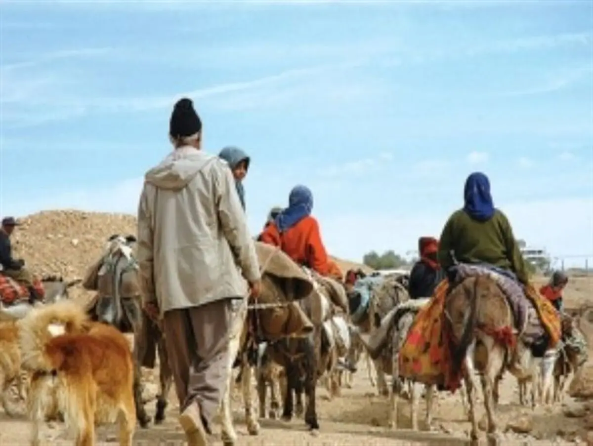 آغاز کوچ بهاره عشایر استان از اواخر فروردین ماه