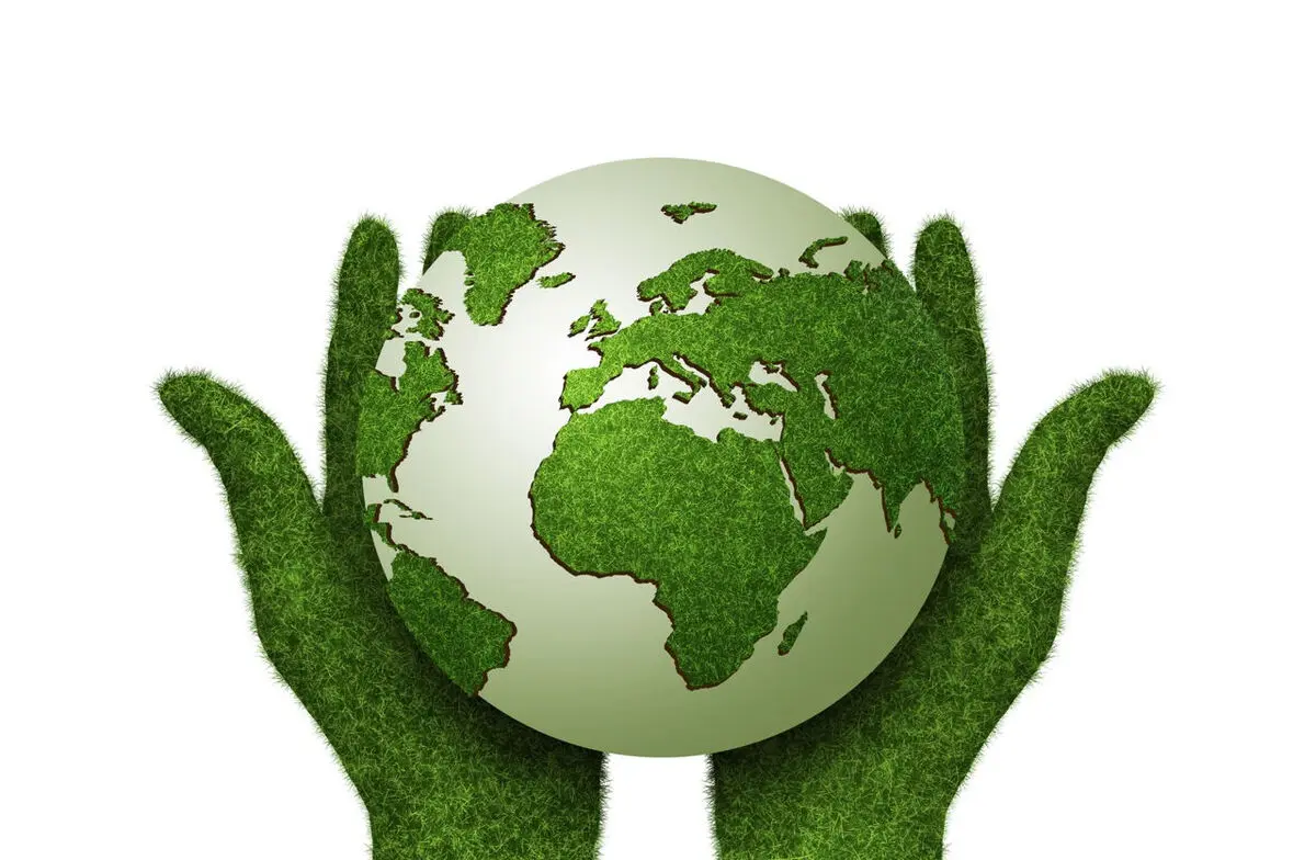 فراخوان محیط زیستی هلدینگ داتیس     