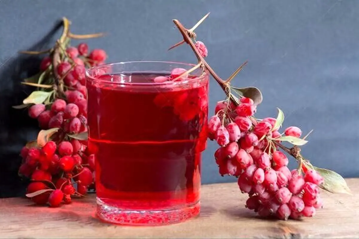 خطر نابودی درخت زرشک بیدانه
