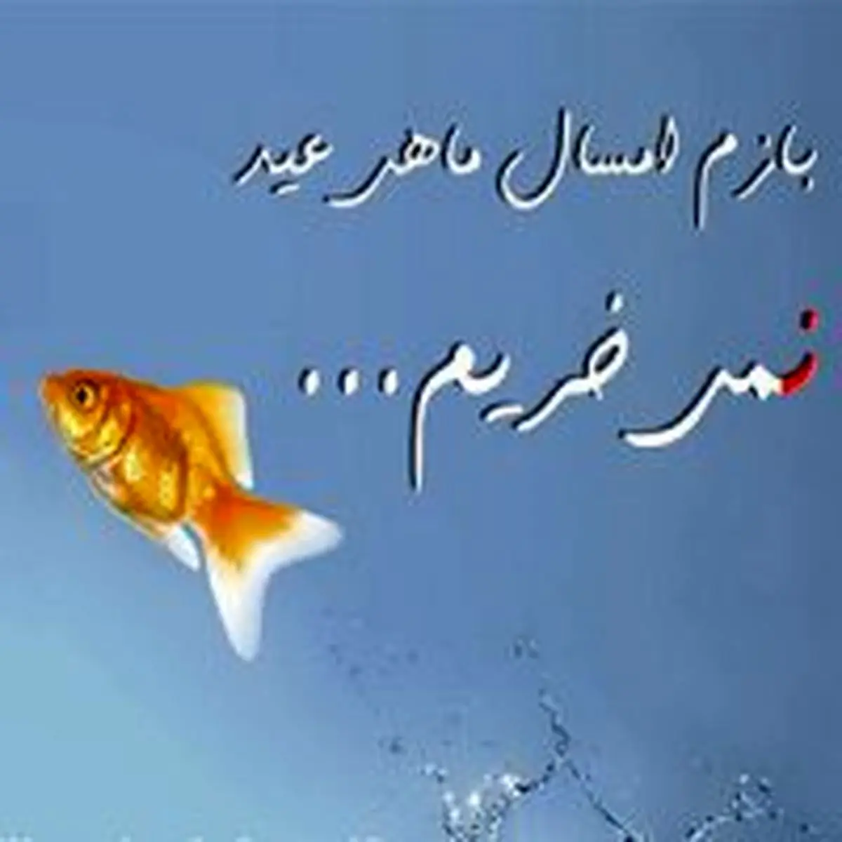 امسال ماهی قرمز نخریم