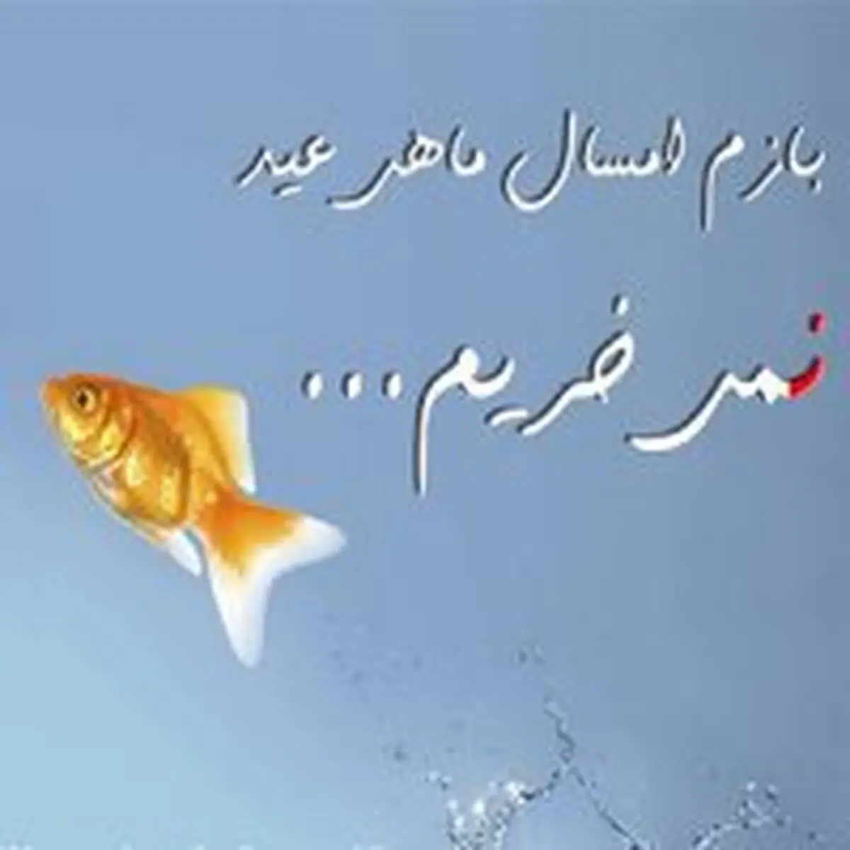 امسال ماهی قرمز نخریم