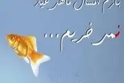 امسال ماهی قرمز نخریم