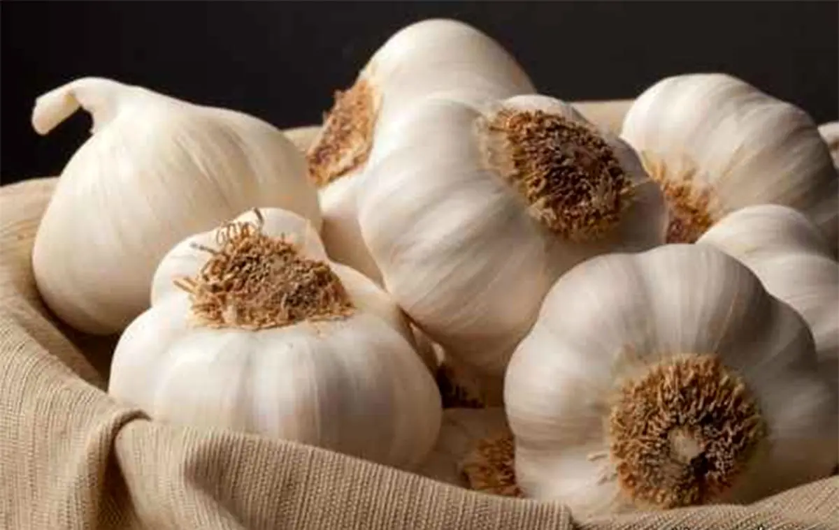 خواص اعجاب انگیز سیر