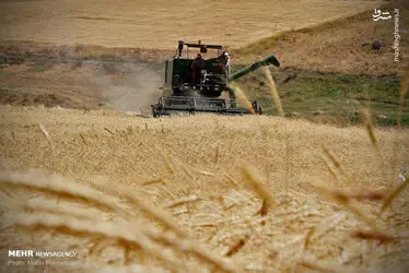 5zflkvccMf49