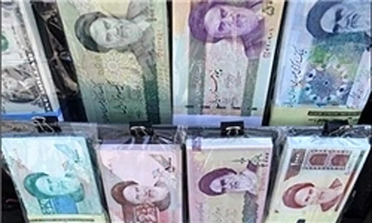 چرا همه درآمد دستگاههای دولتی به خزانهداری کل واریز نمیشود؟!