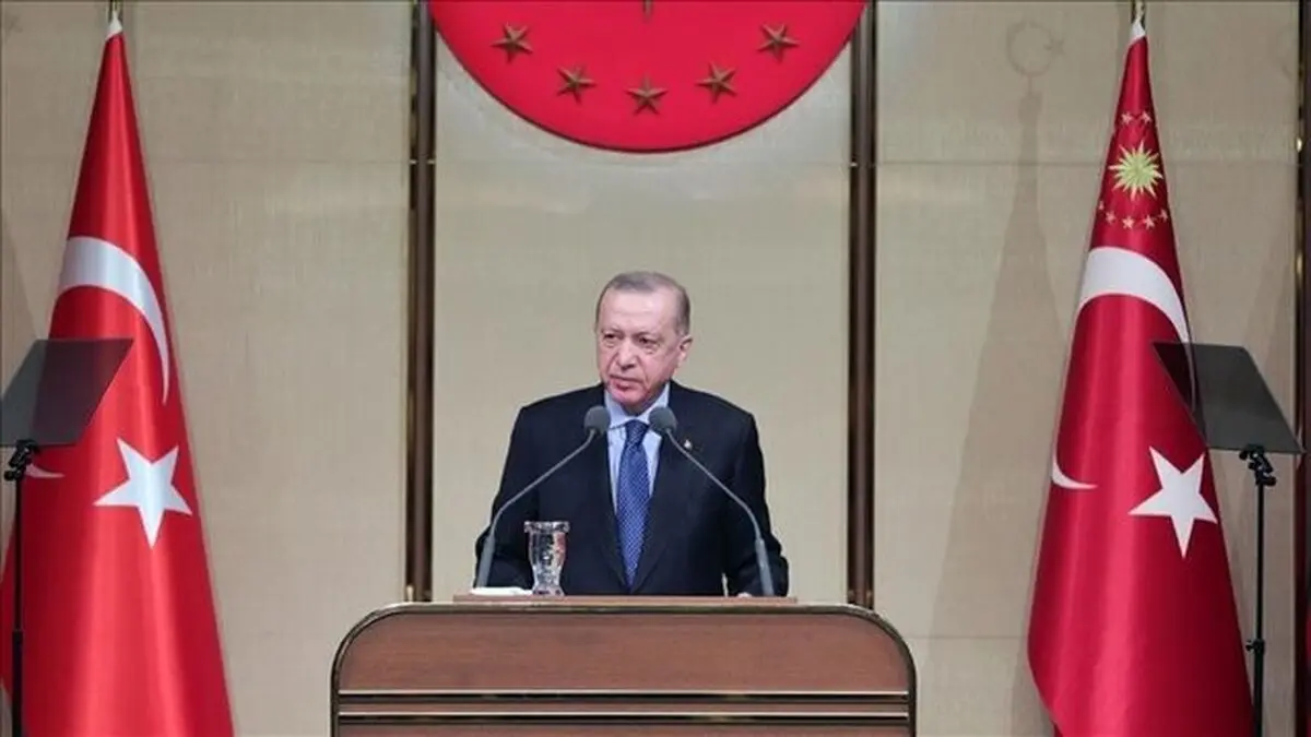 اردوغان خواستار آتش بس فوری در اوکراین شد
