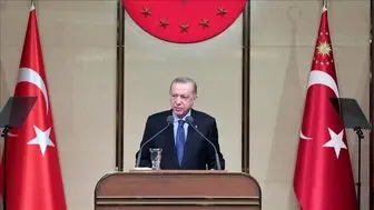 اردوغان خواستار آتش بس فوری در اوکراین شد
