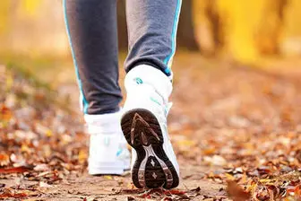تاثیر شگرف پیاده روی در سلامت مغز