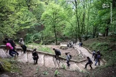 pkiATaNBATTN